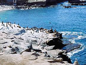 San Diego Is Number One Once Again: La Jolla Cove Crowned Best Beach In The U.S.