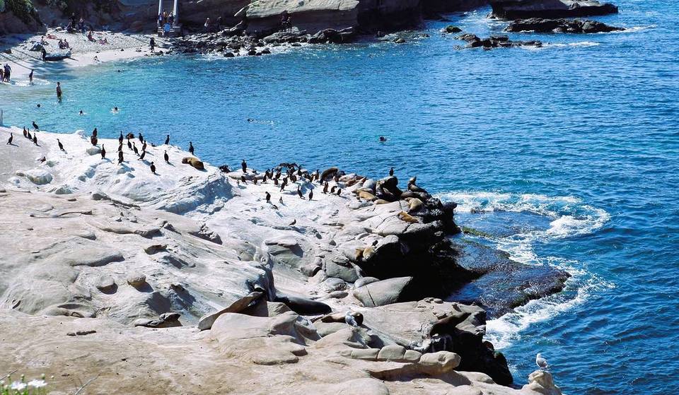 San Diego vuelve a ganar: La Jolla Cove se corona como la mejor playa de EE. UU.