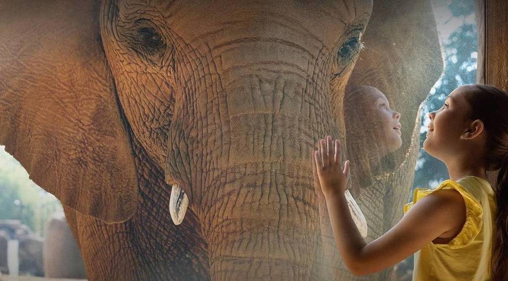 kid and elephant at the San Diego Zoo