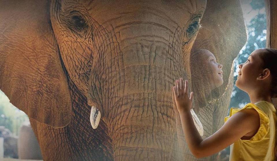 La experiencia de safari definitiva ya está en el sur de California: echa un vistazo al hábitat inmersivo de elefantes de San Diego