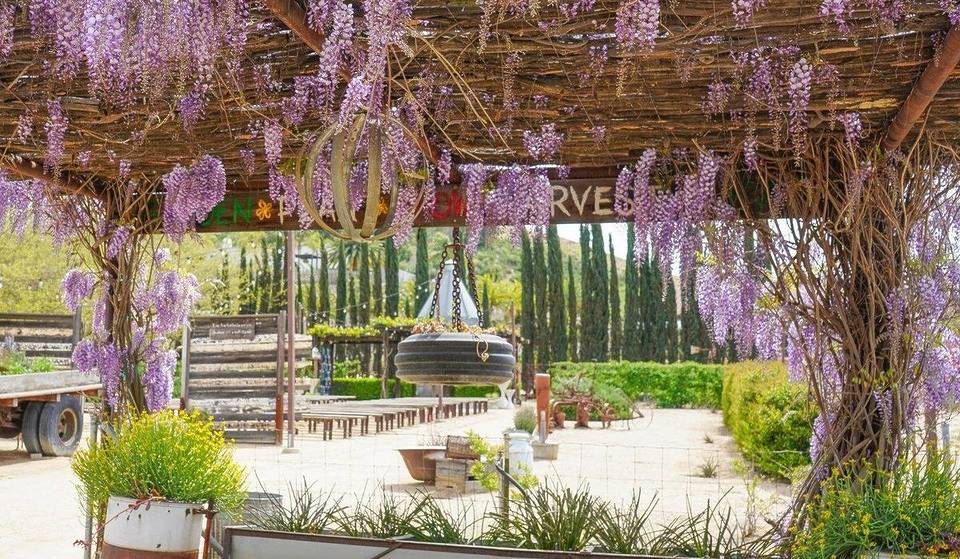 The Ultimate Spring Day Trip Is Just An Hour Away — Wander Through 25-Foot Wisteria Archways At These 6 California Wineries