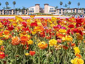 13 Fabulous Things To Do In San Diego This April 2026