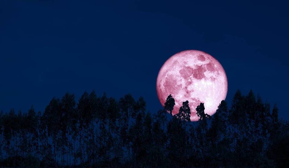 The April ‘Pink Moon’ Brings A Rare Moonrise-Sunset Combo This Wednesday — Here’s Exactly When To Catch It