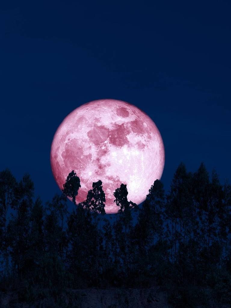 luna rosa por la noche