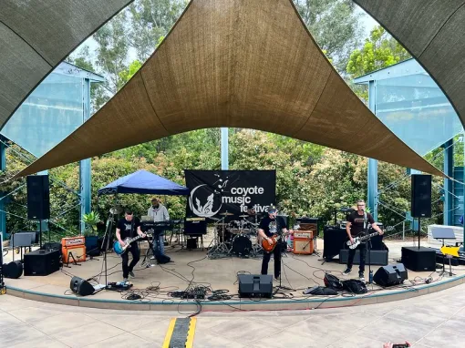 live music at spring festival