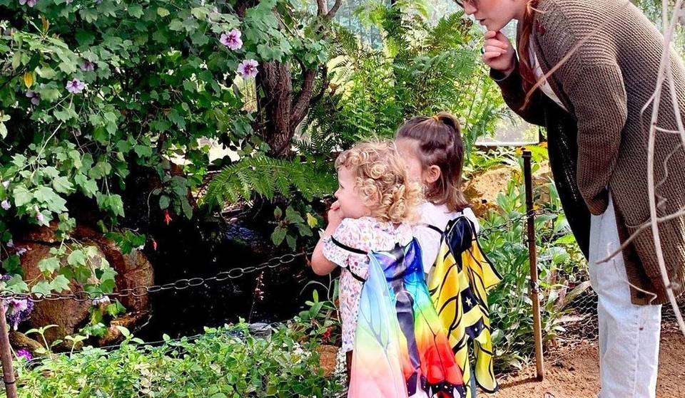 6 Reasons You Need To Visit The 2026 Spring Garden Festival, From Live Butterfly Releases To The Year’s Biggest Plant Sale