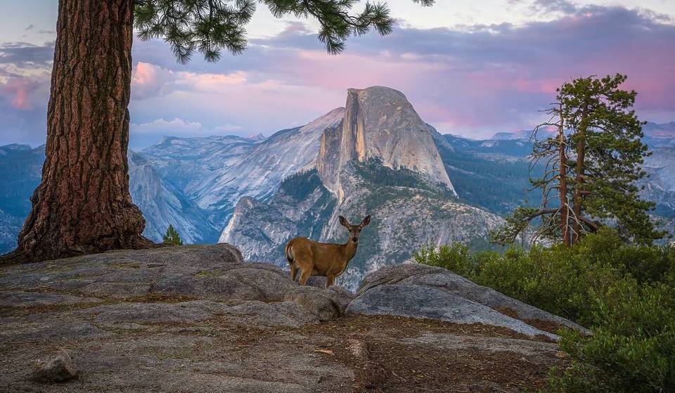 Experts In 1869 Called This California Peak “Perfectly Inaccessible;” Today, It’s One Of Nat Geo’s 100 Hikes Of A Lifetime