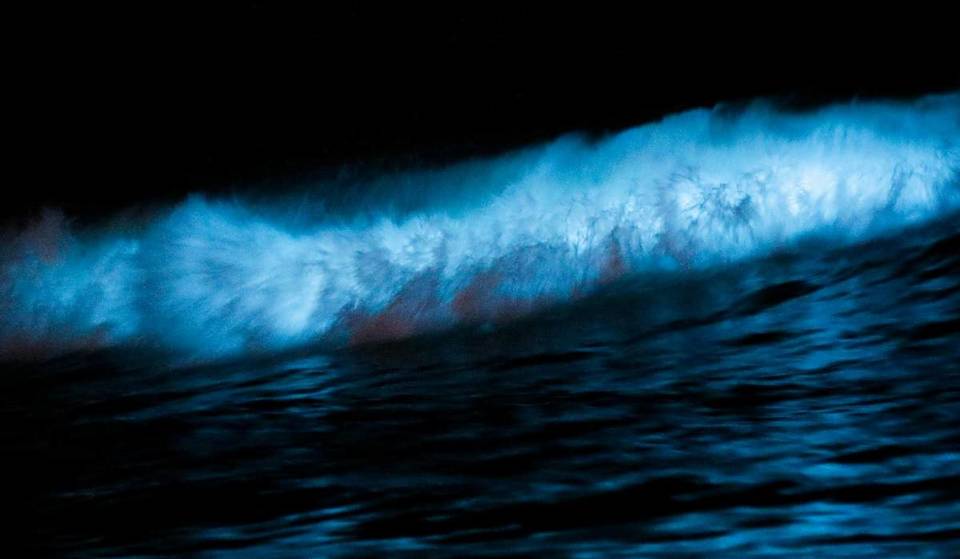 El océano de San Diego está ofreciendo su famoso espectáculo de luces azul neón: estas son las 4 mejores playas locales para ver el resplandor
