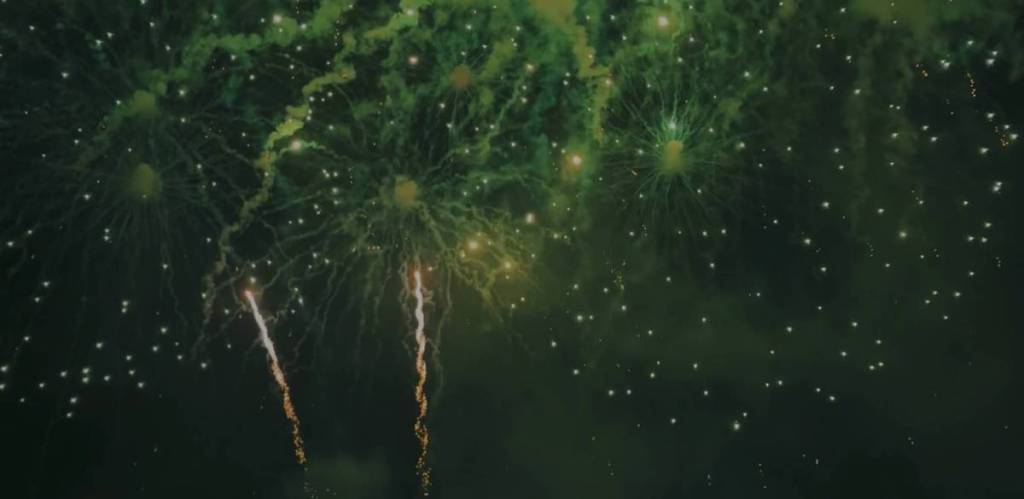 SeaWorld fireworks