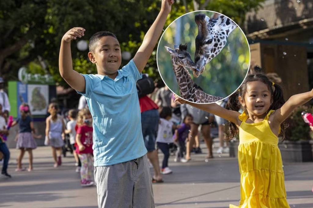 niños en el Nighttime Zoo de San Diego y una foto con jirafas