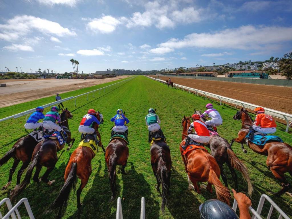horse racing in Del Mar