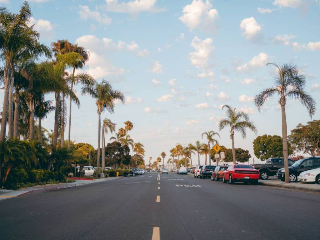 San Diego street and palm trees