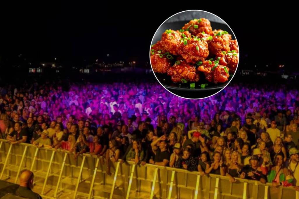 crowd at concert and friend chicken