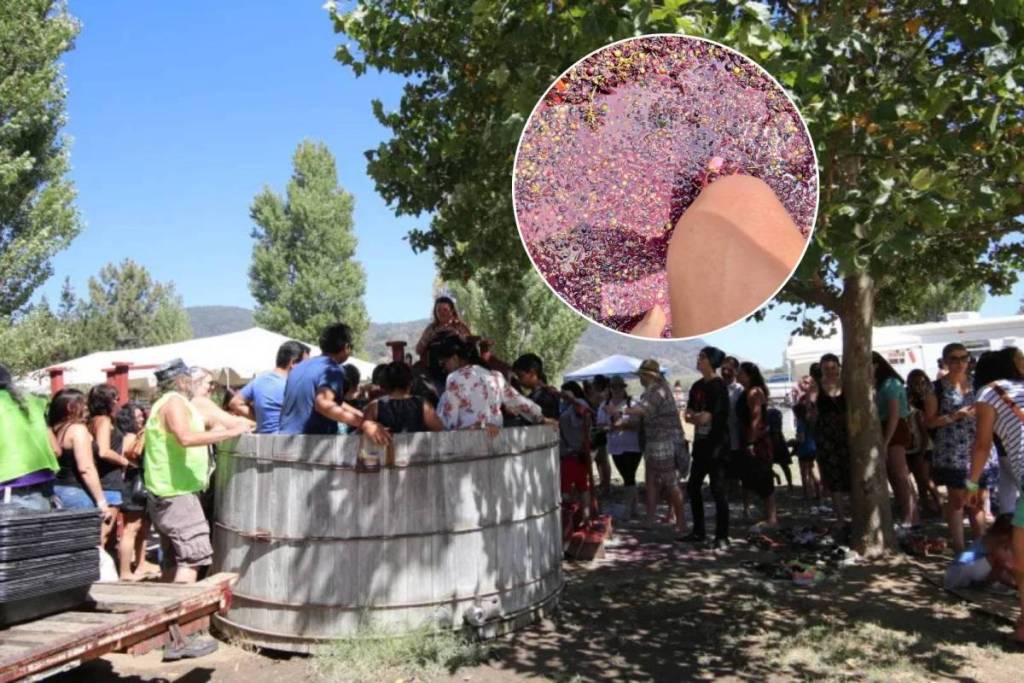 un evento de pisado de uvas en Julian, San Diego