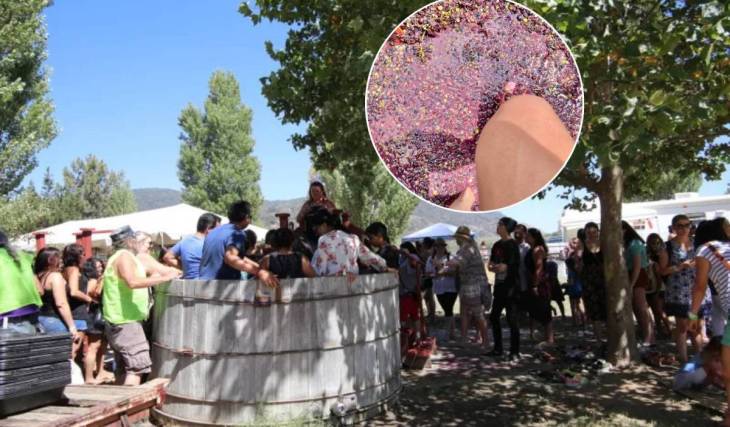 Ready to squish? The 2026 Julian Grape Stomp Festa returns this September