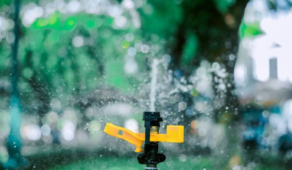 California could fine you $1,000 for watering decorative grass — even without a drought