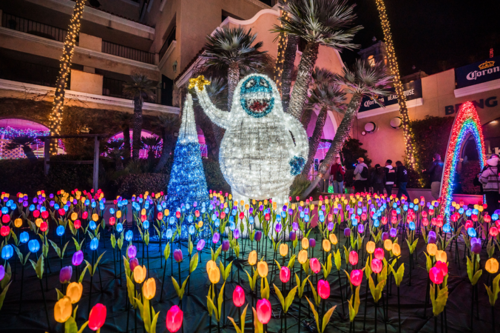 Coastal Christmas Del Mar lights