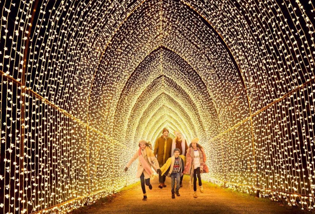 San Diego Botanic Garden is transforming into a spectacular winter wonderland this November—featuring a mile-long illuminated trail, 20 new light installations, and festive cocktails 