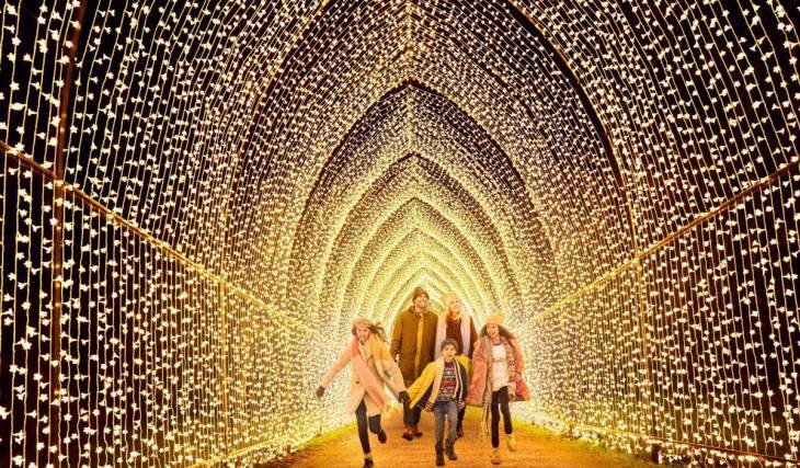 El Jardín Botánico de San Diego se transforma este noviembre en un espectacular paraíso invernal, con un recorrido iluminado de una milla de largo, 20 nuevas instalaciones lumínicas y cócteles festivos