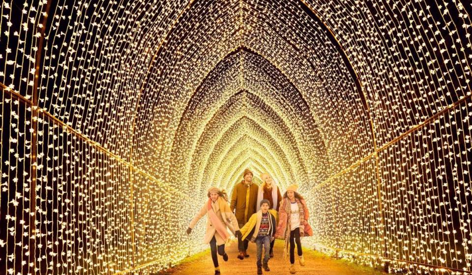 San Diego Botanic Garden is transforming into a spectacular winter wonderland this November—featuring a mile-long illuminated trail, 20 new light installations, and festive cocktails 