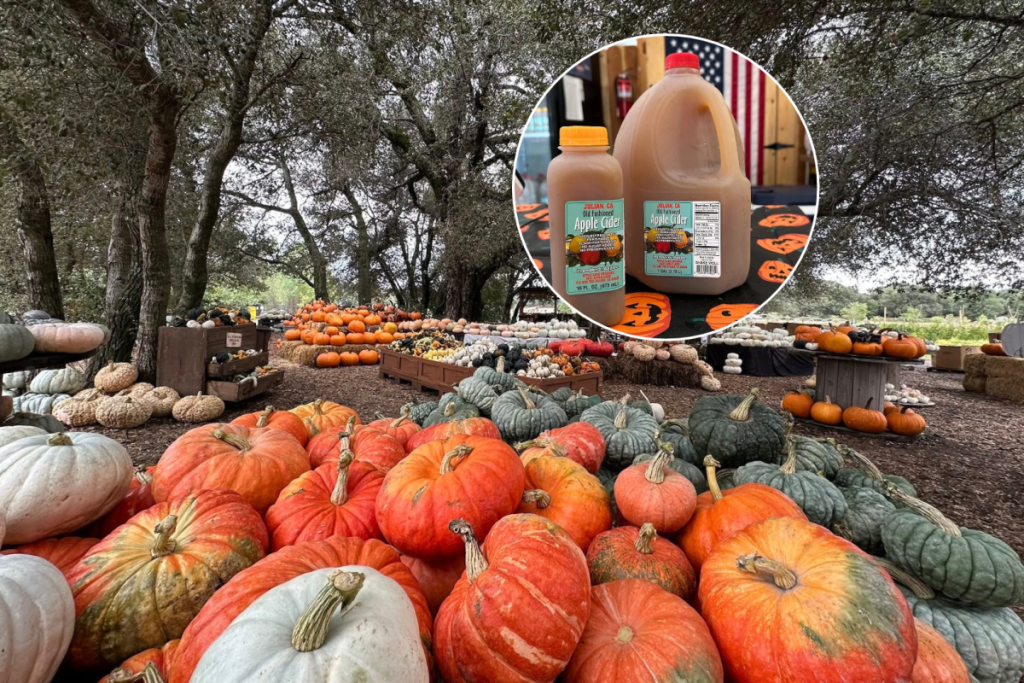 pumpkin patches and apple cider
