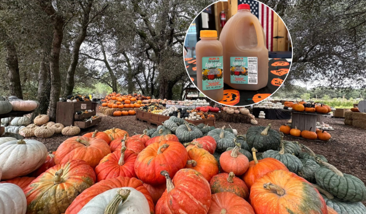 Esta granja sostenible de 25 acres, situada a las afueras de San Diego, da el pistoletazo de salida a su Harvest Fest de otoño