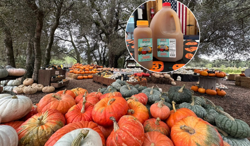 This sustainable 25-acre working farm just outside San Diego is kicking off its fall Harvest Fest