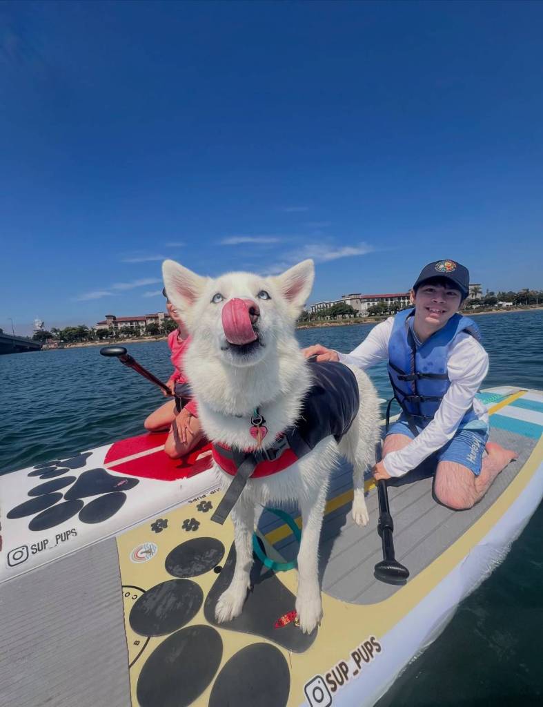 white dog and owner on paddleboard