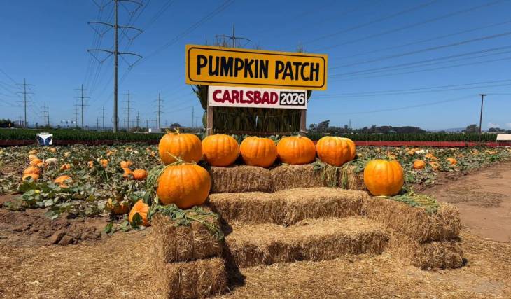 La Carlsbad Strawberry Company cambia oficialmente las bayas de verano por calabazas gigantes y un laberinto de maíz embrujado de 1,5 millas.