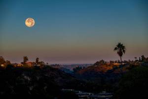10 amazing things to do in San Diego this November 2026