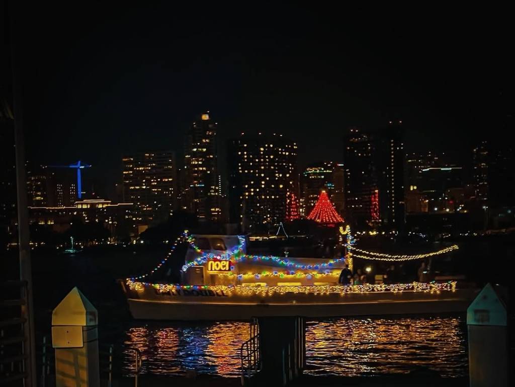 a boat with festive lights on the water