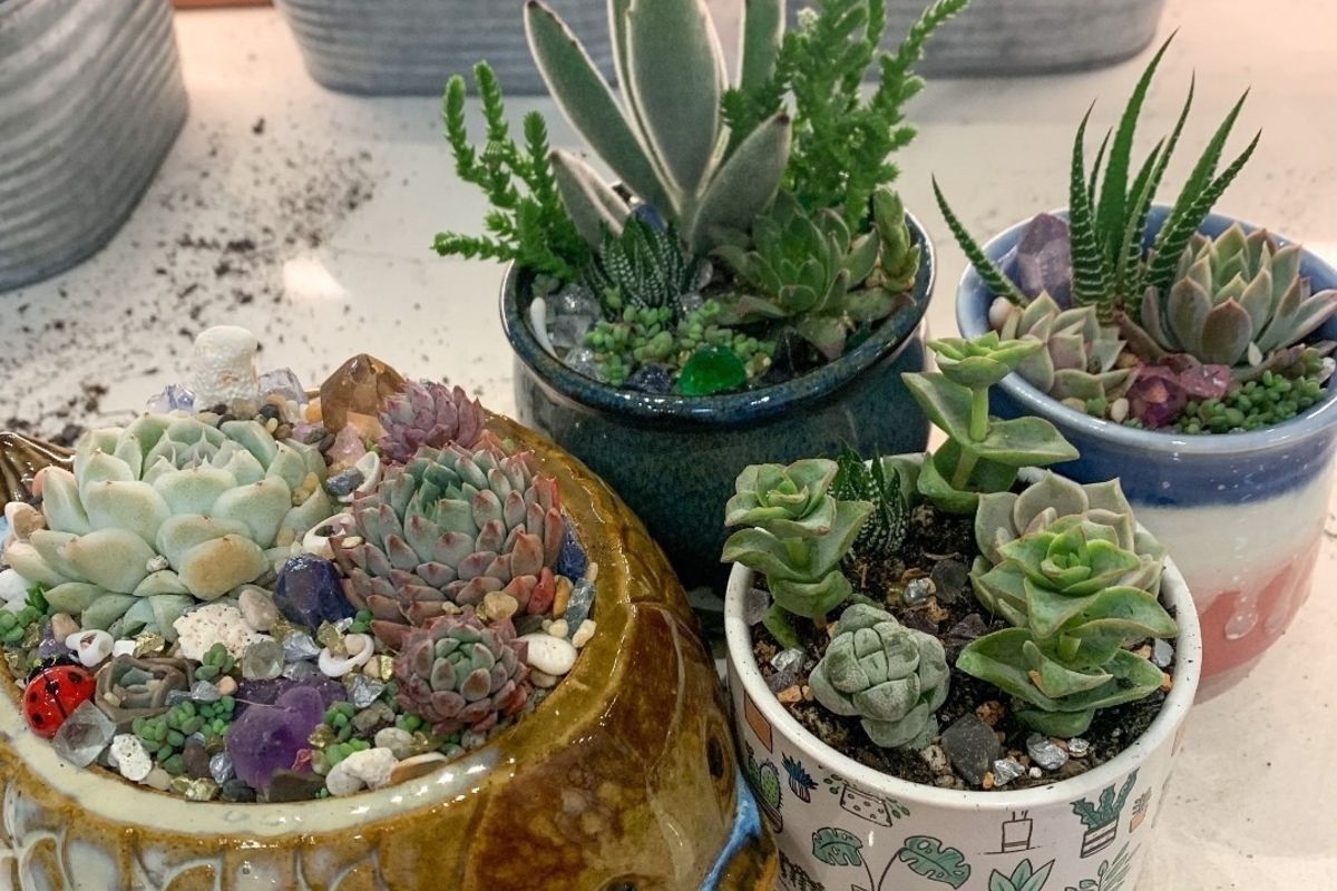 This SF Plant Store Lets you Create Your Own Beautiful