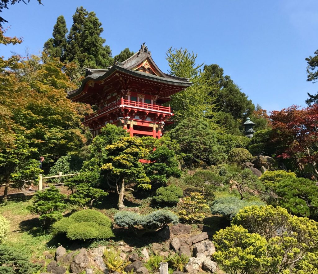 Japanese tea garden in SF