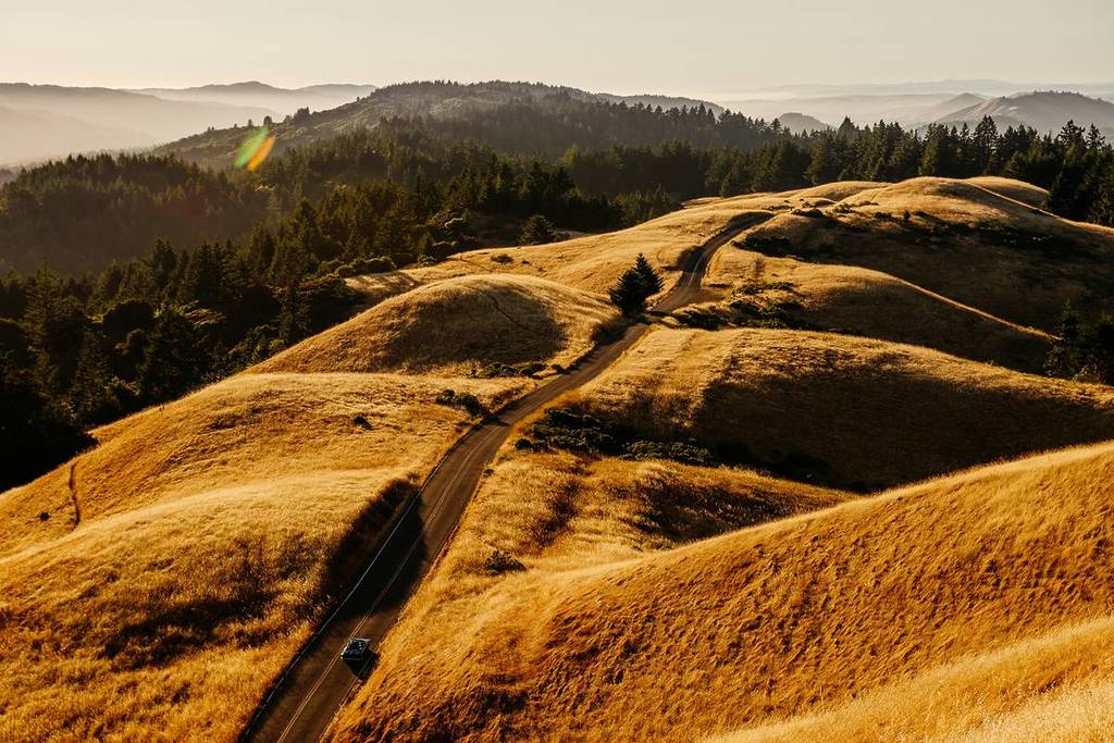 Mt. Tamalpais at golden hour.