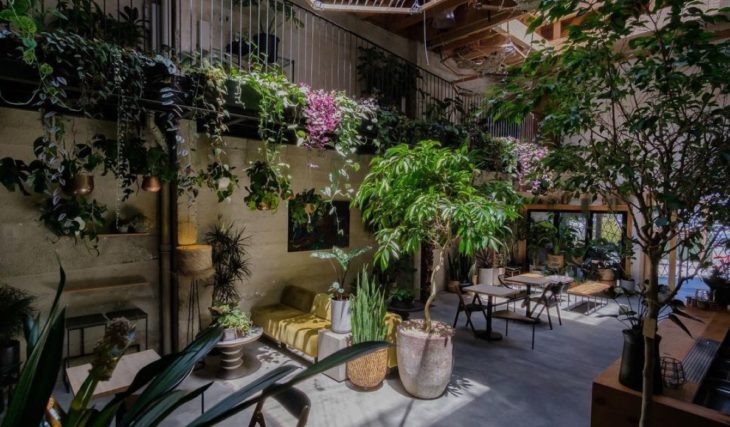 18 of the best wine bars in San Francisco for every kind of wine lover