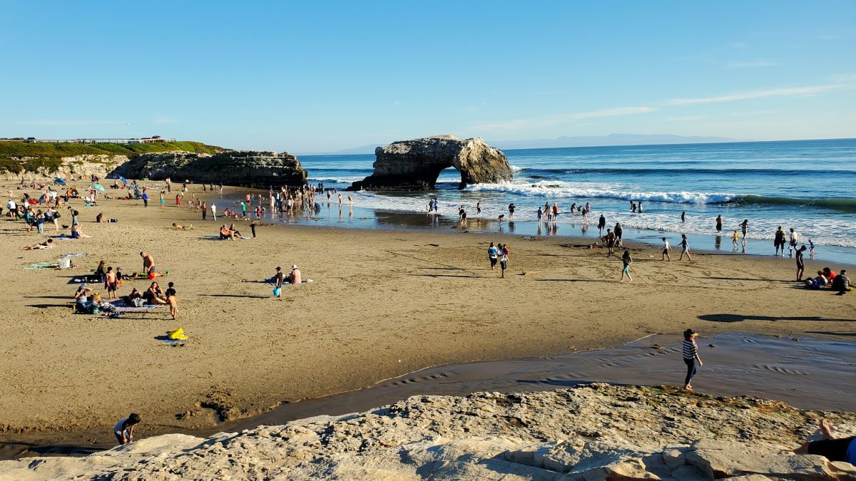 11 Fascinating Bay Area Tide Pools To Explore Today