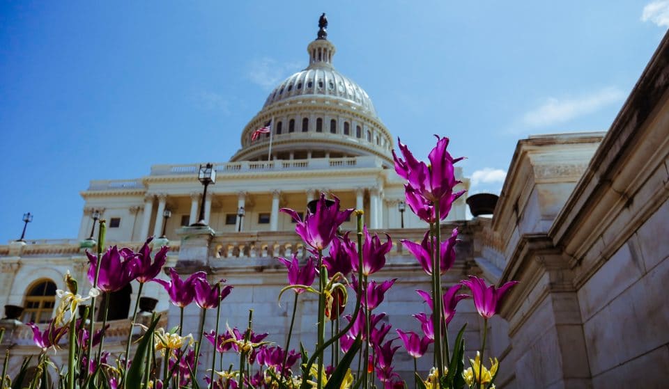 The Senate Approves Bill To Make Juneteenth A Federal Holiday