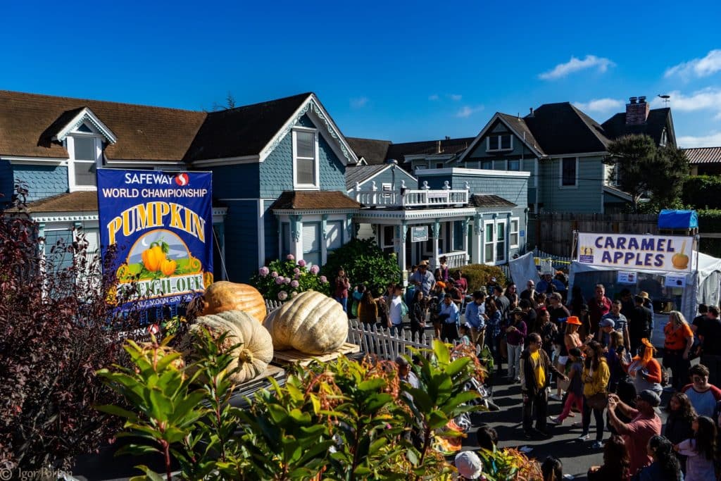Half Moon Bay Pumpkin Festival