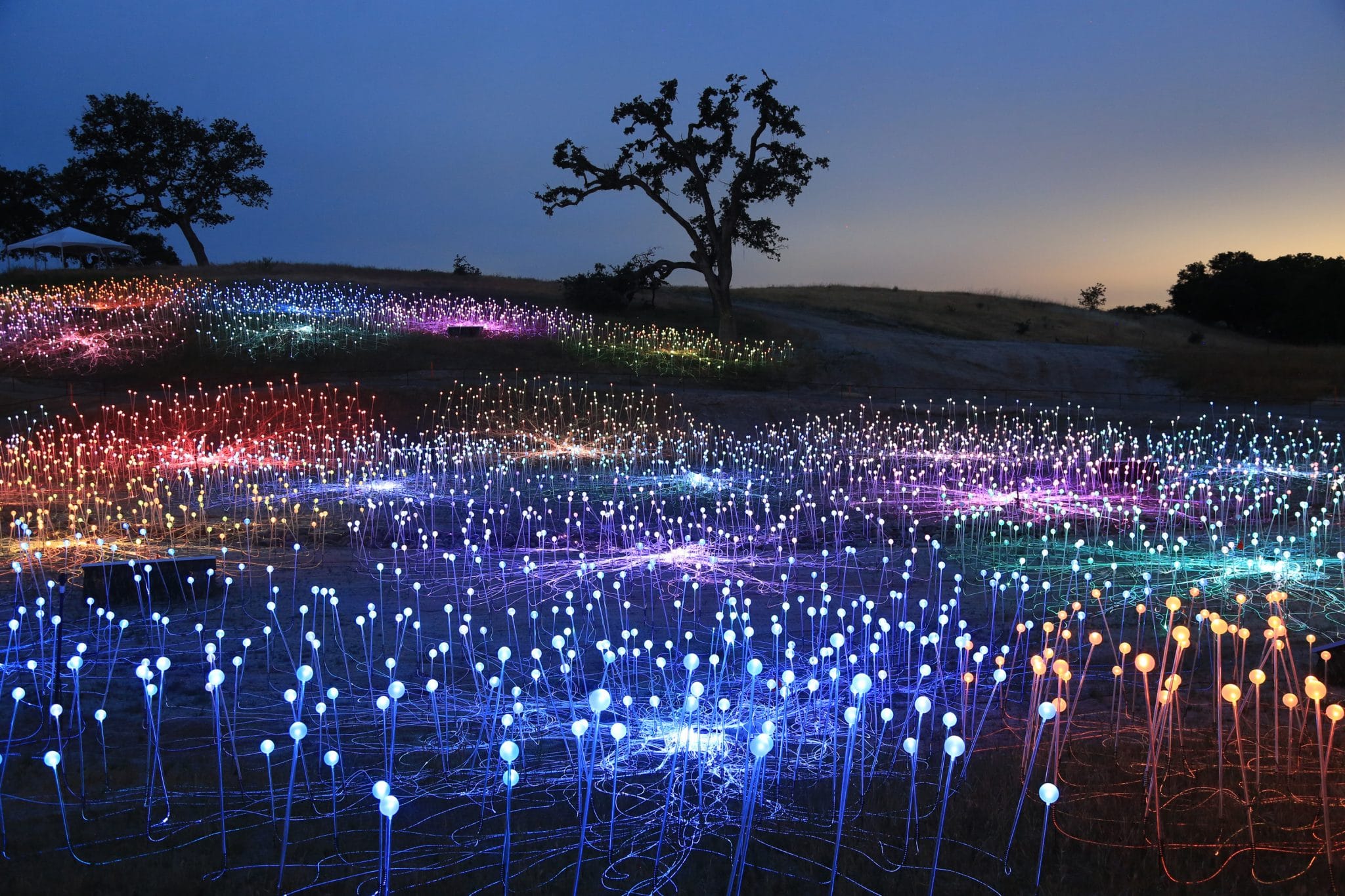 Sensorio Field Of Light In Paso Robles Secret San Francisco