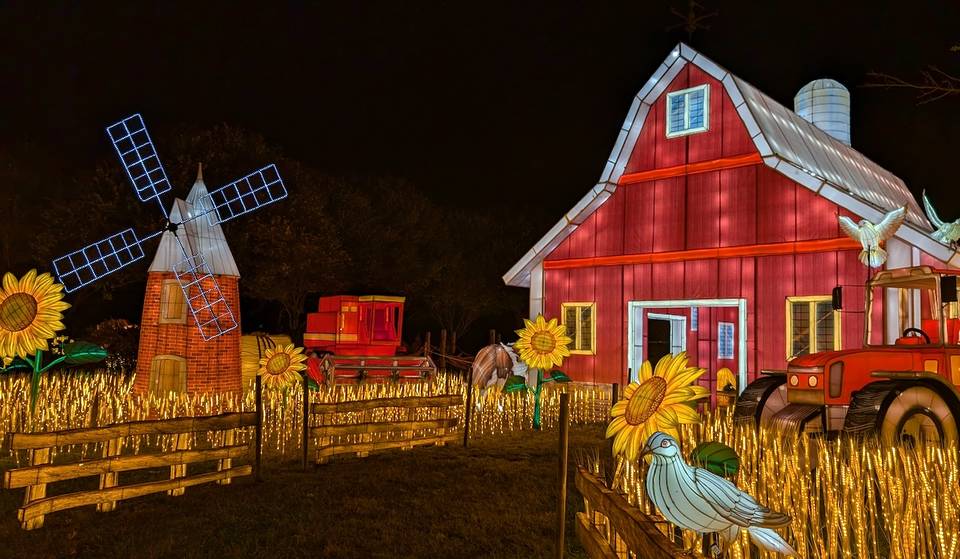 See Oakland Zoo Adorned With Hundreds Of Hand-Painted Animal Lanterns