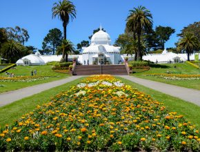 15 Delightful Things To Do This Spring 2026 In San Francisco