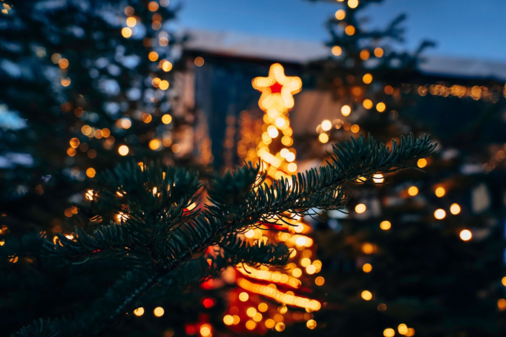 Encendido del árbol de Navidad