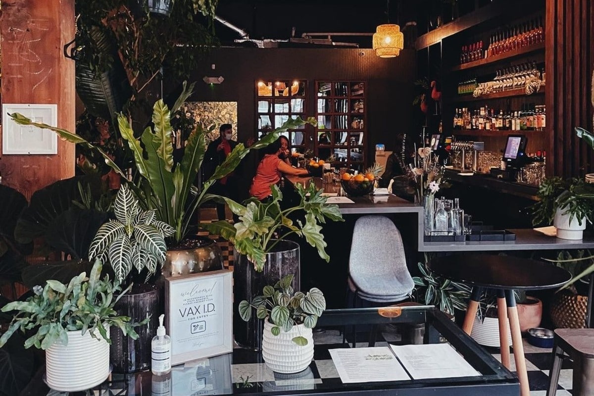 This GardenThemed Cocktail Bar Is A Plant Lover's Paradise