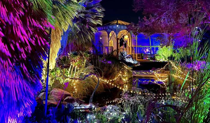 This East Bay Succulent Garden Turns Into A Whimsical Forest Of Lasers And Lights This November