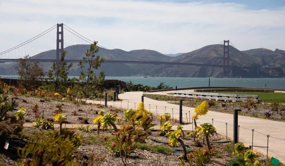 A New Art Market Is Coming To The Presidio Tunnel Tops This Weekend