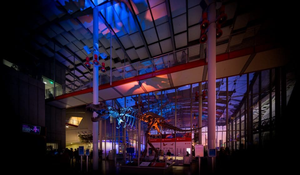 Fall In Love At The California Academy Of Sciences’ Single-Friendly Party This February