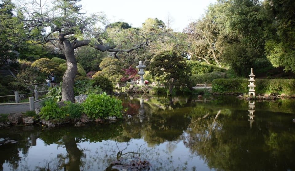Everything You Never Knew About SF’s Japanese Tea Garden