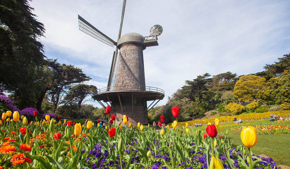 22 Marvelous Ways To Enjoy March 2026 In San Francisco, From Tulip Season To St. Patrick’s Day