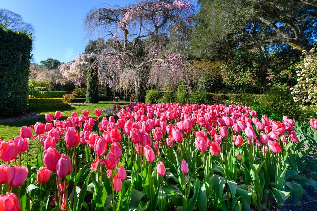 14 Fun Things To Do In San Francisco This Weekend: April 10-12