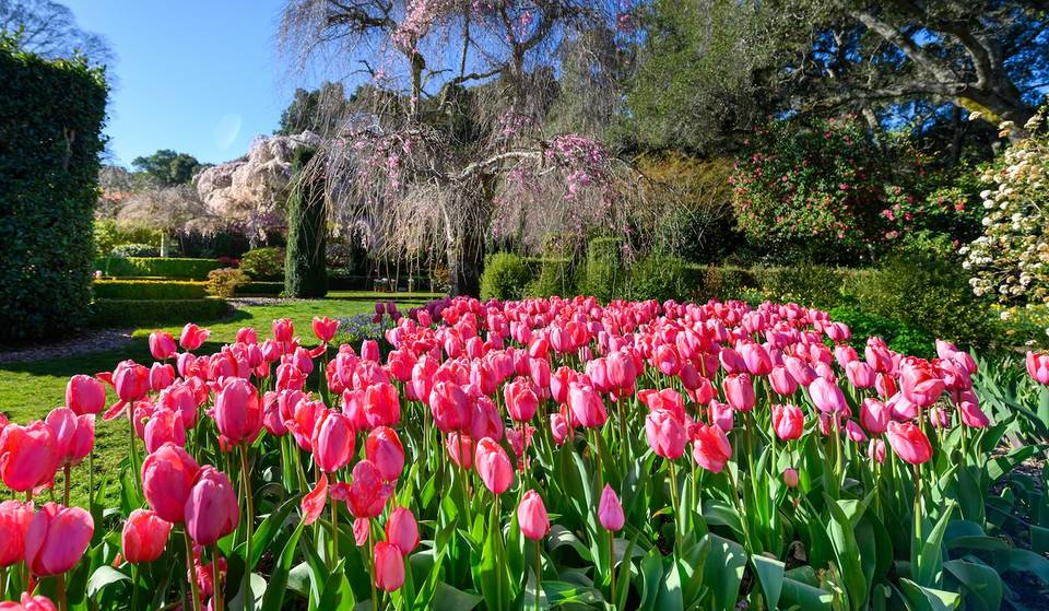 17 cosas divertidas que hacer en San Francisco este fin de semana: del 17 al 19 de abril